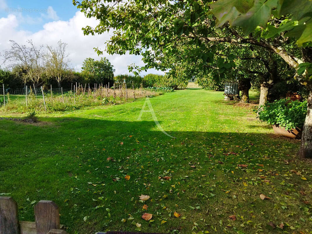 Maison à MONTPELLIER-DE-MEDILLAN