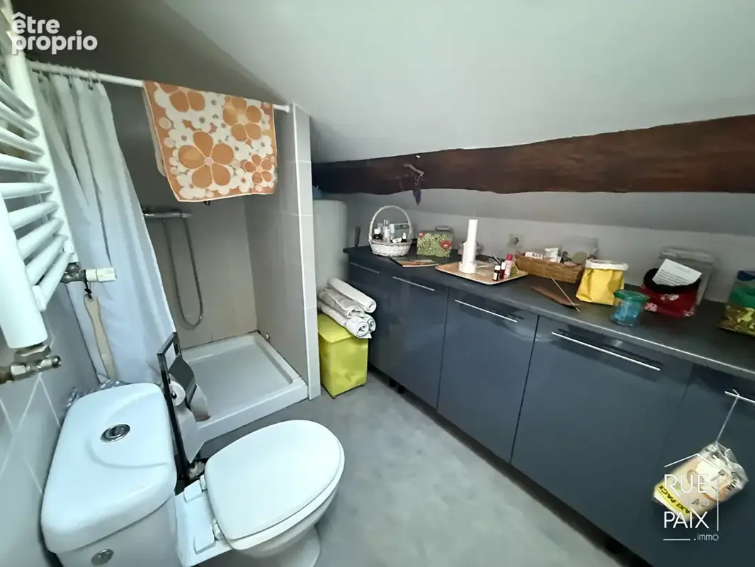 Ensemble immobilier Dangé-Saint-Romain  223m2 - photo 6