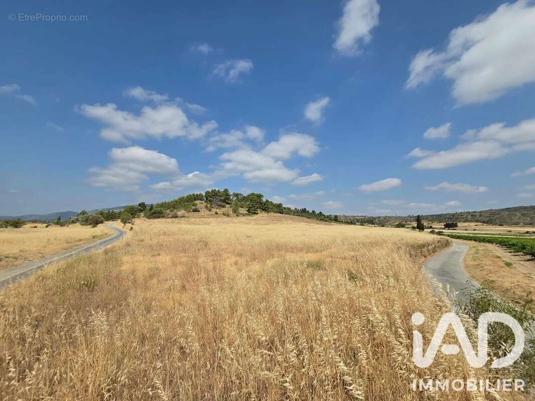 Terrain 28200 m² à Fabrezan  - photo 3