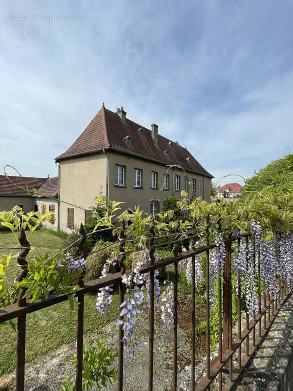 Maison à PUTTELANGE-AUX-LACS
