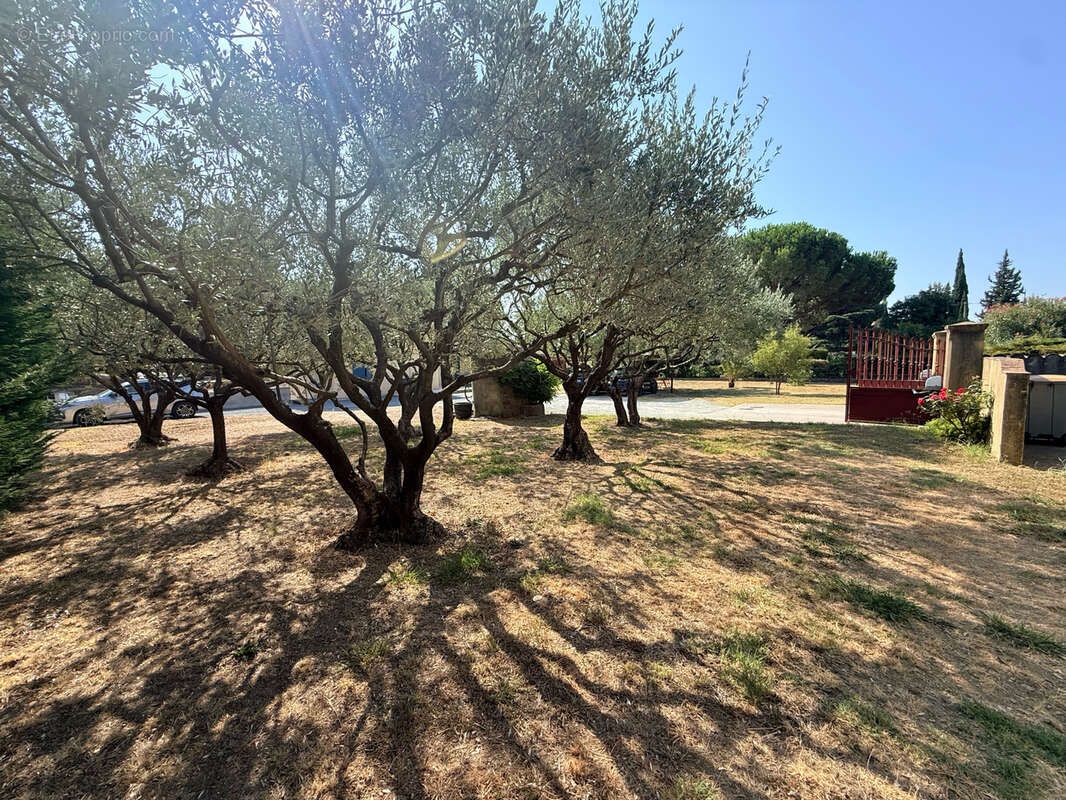 Frejus - terrain plat de 371m2 - proche commodites - photo 3