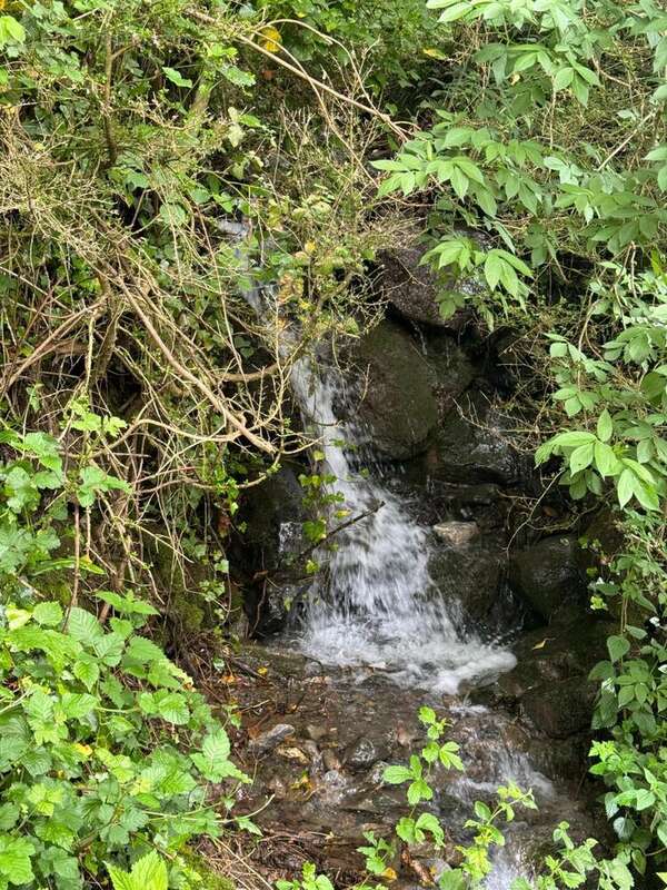 Photo 2 - Maison à BORCE