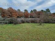 Terrain à SAINT-MAXIMIN-LA-SAINTE-BAUME