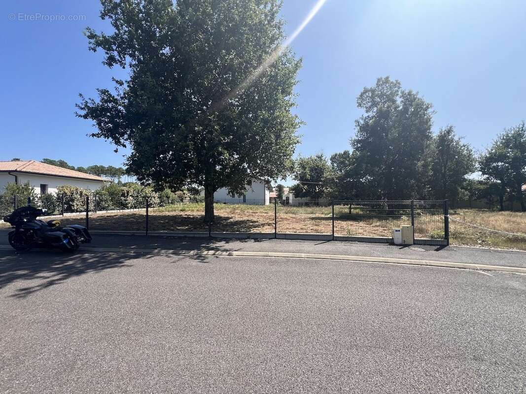 Terrain à VIELLE-SAINT-GIRONS