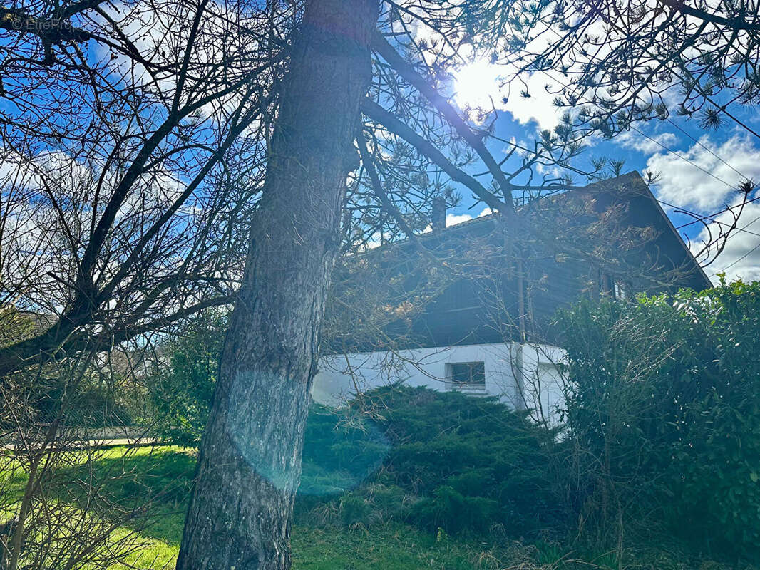 Maison à MONTFERRAND-LE-CHATEAU