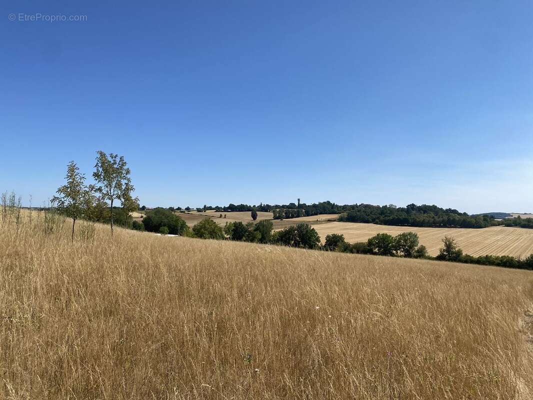 Maison 280 m² à Marssac-Sur-Tarn  - photo 8