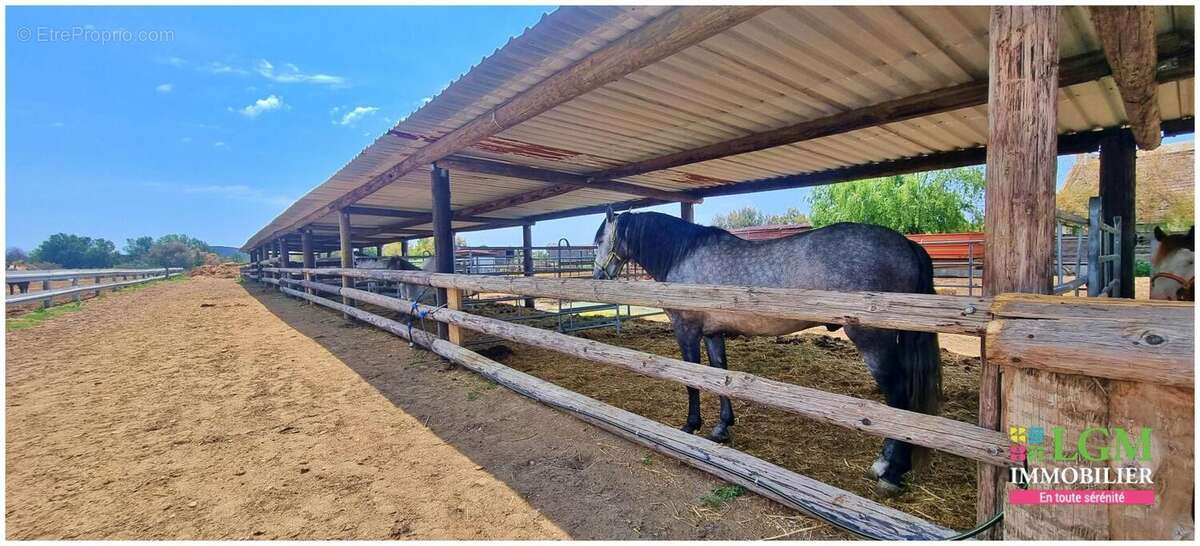 En exclusivité à vendre : RANCH - Le Grau du Roi - Terrain et infrastructure - photo 5