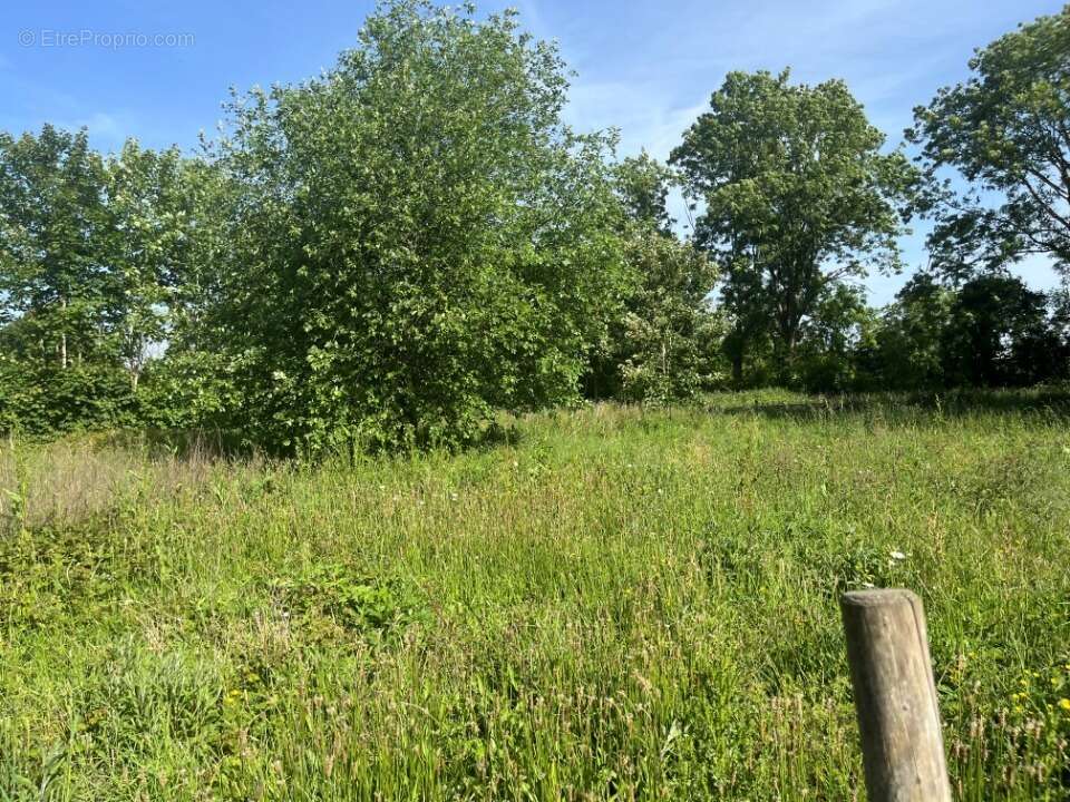 Terrain 1790 m² à Lamotte-Buleux  - photo 2