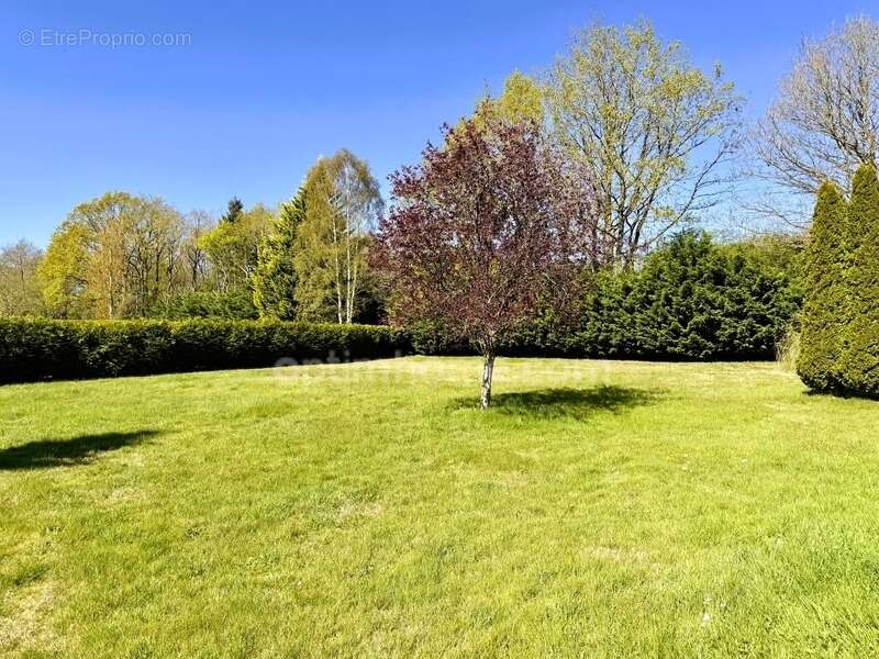 Maison à vendre - Grand séjour - 3 chambres - Garage – Terrasse avec vue dégagée - VALORBIQUET (14290) - photo 4