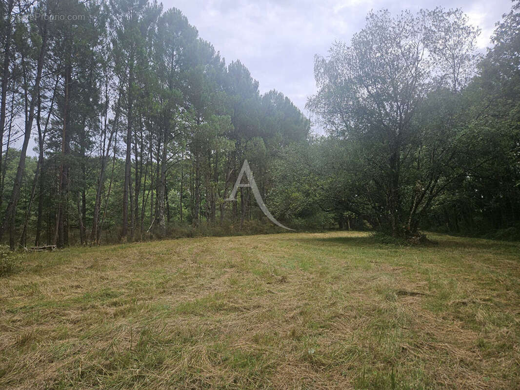 Terrain à CERE-LA-RONDE