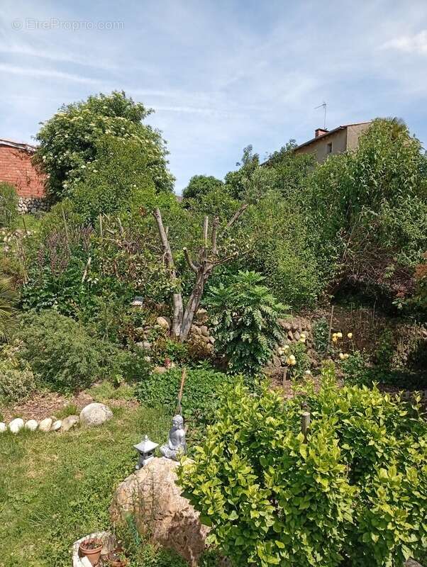 Maison à SAINT-JEAN-DU-FALGA