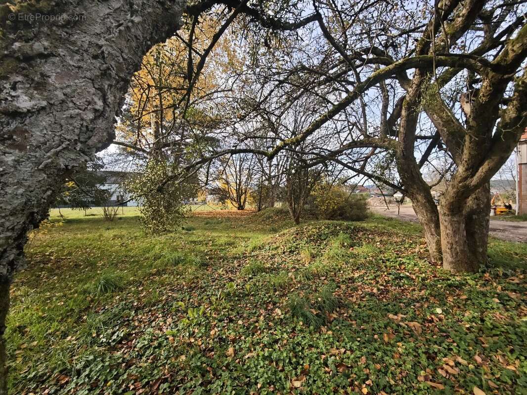 Terrain à ARCHETTES