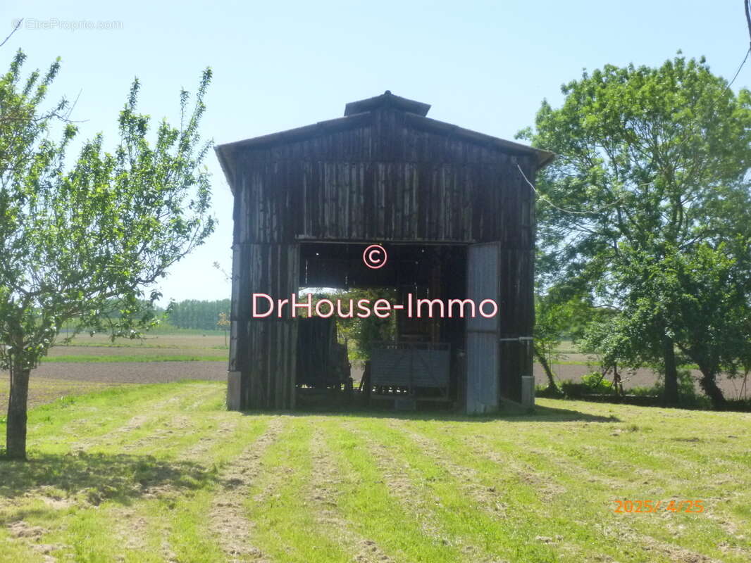 Maison à LONGUEVILLE