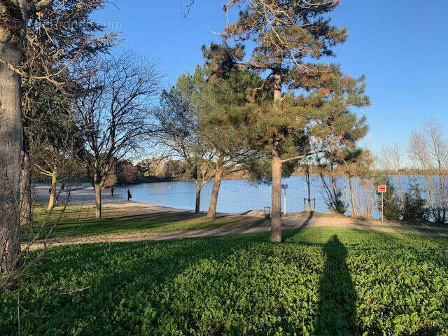 Photo 7 - Commerce à TOURNEFEUILLE