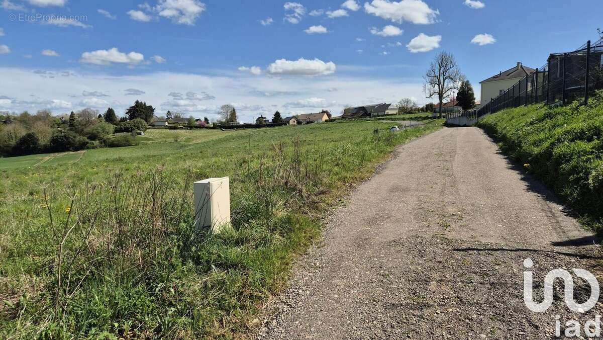 Photo 2 - Terrain à LA NEUVILLE-DU-BOSC