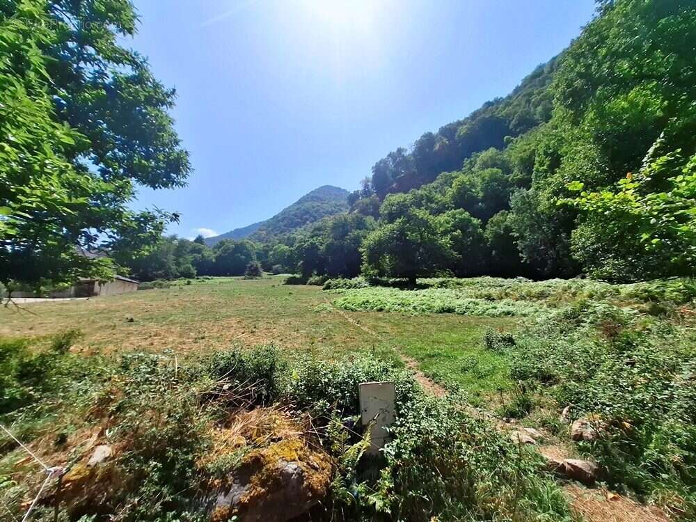Terrain à SAINT-BEAT