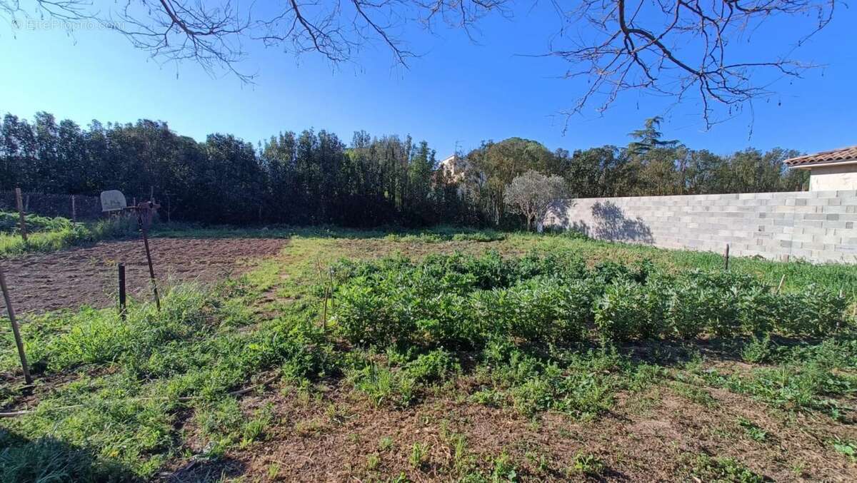 Terrain à LIGNAN-SUR-ORB