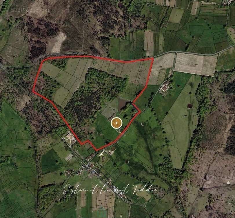 Propriété de 30 hectares  maison en pierre à rénover  dépendances  étangs - photo 17