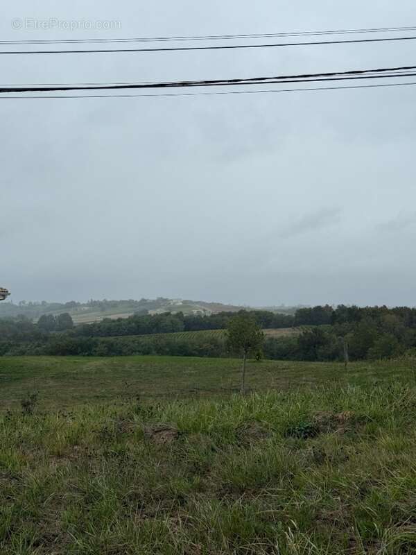 Terrain à MONGAUZY