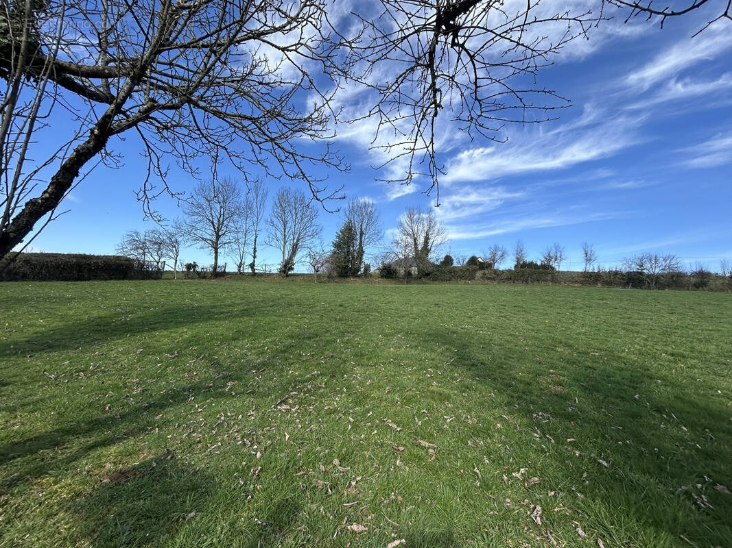 Terrain à LADIGNAC-SUR-RONDELLES