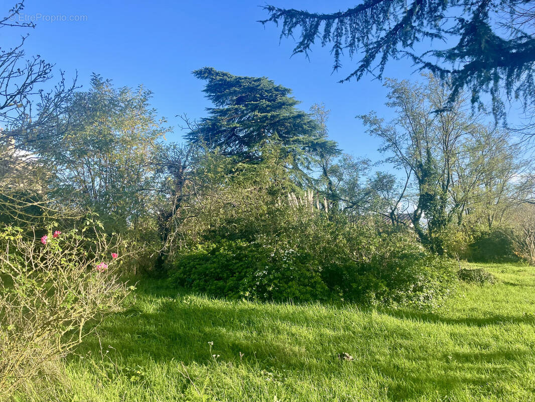 Terrain à MONTUSSAN