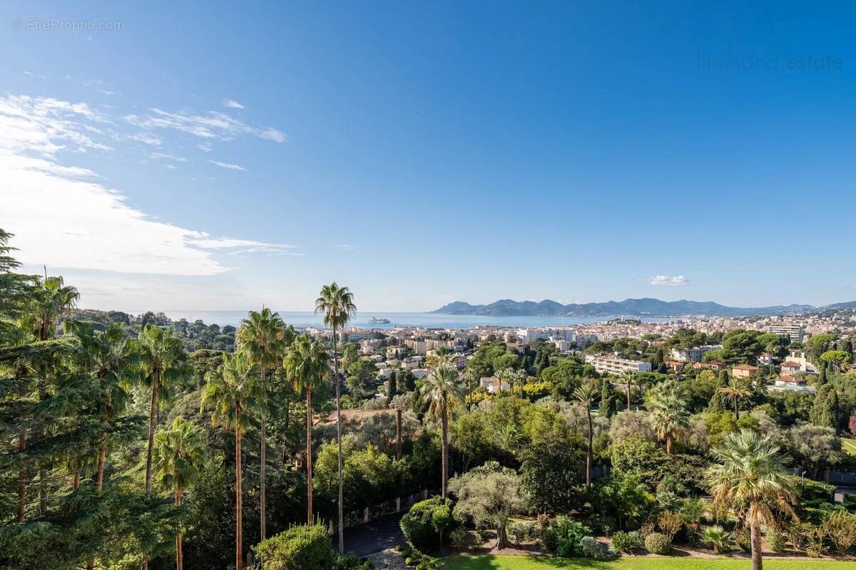 Cannes californie - 3 pieces - grande terrasse - vue panoramique mer - photo 3