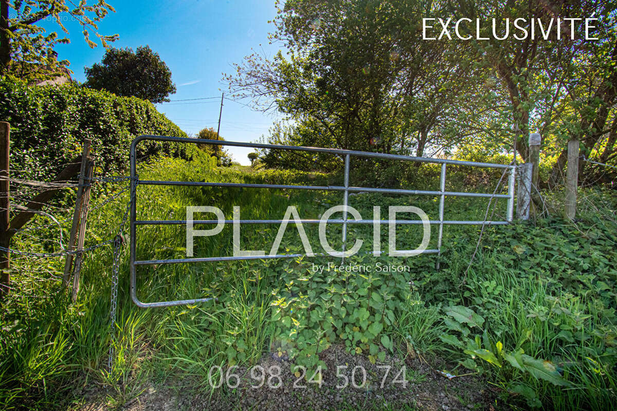 Longere 82m² - 2 chambres - 1 bureau - 1 grange- terrain de 13822m² - photo 16