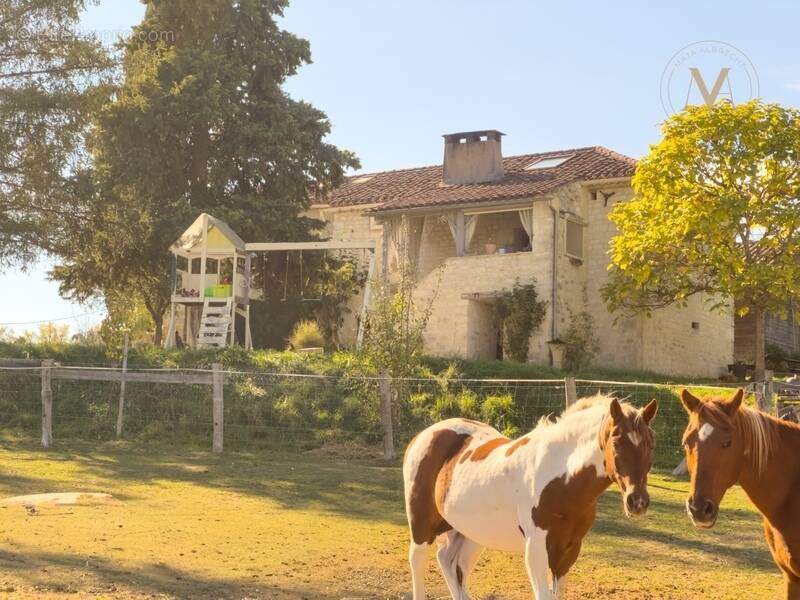 Maison à SAINT-MATRE