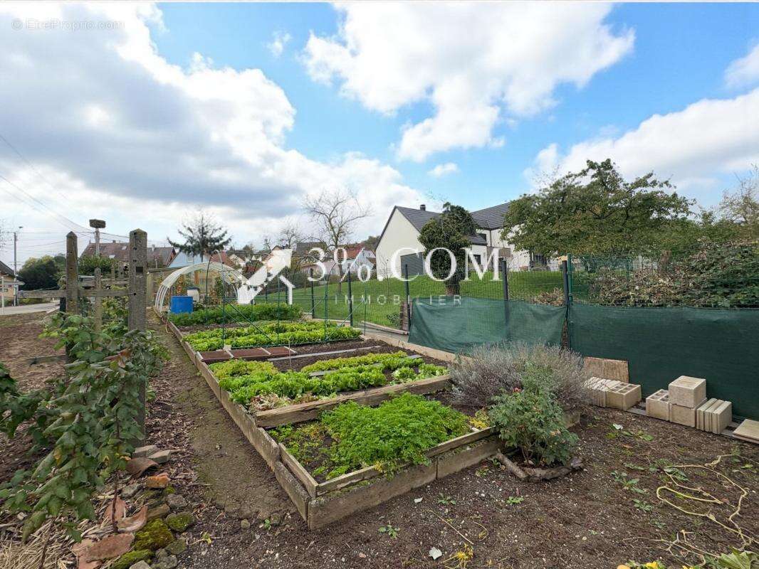 Terrain à WALTENHEIM-SUR-ZORN