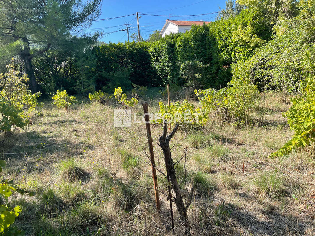 Terrain à LA PENNE-SUR-HUVEAUNE