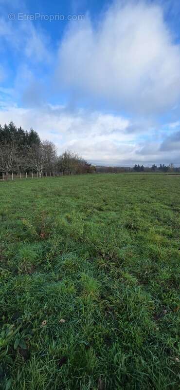 Terrain à LE PALAIS-SUR-VIENNE