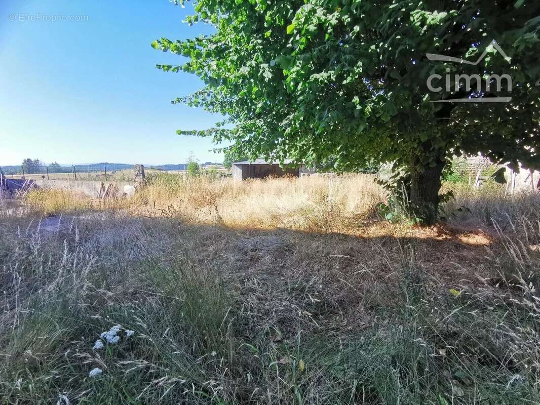 Maison à SAINT-BONNET-LE-CHATEAU