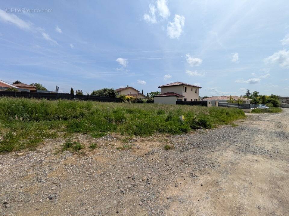 Terrain à DOMPIERRE-SUR-CHALARONNE