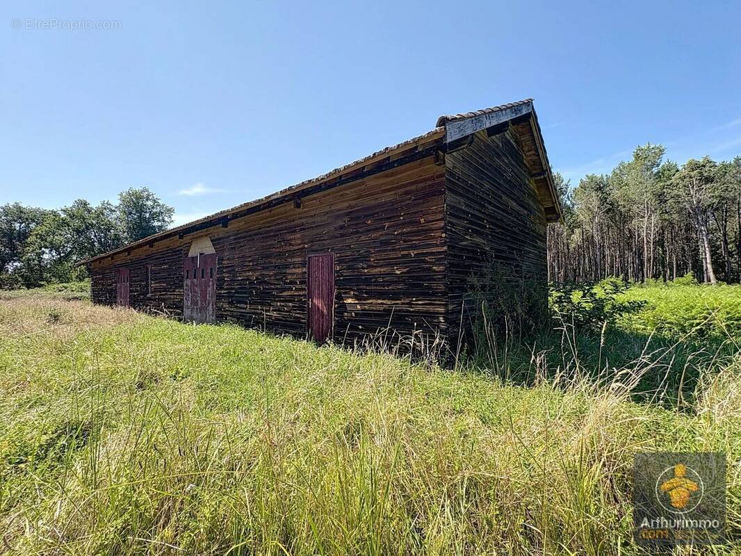 Maison à SAINT-PAUL-EN-BORN