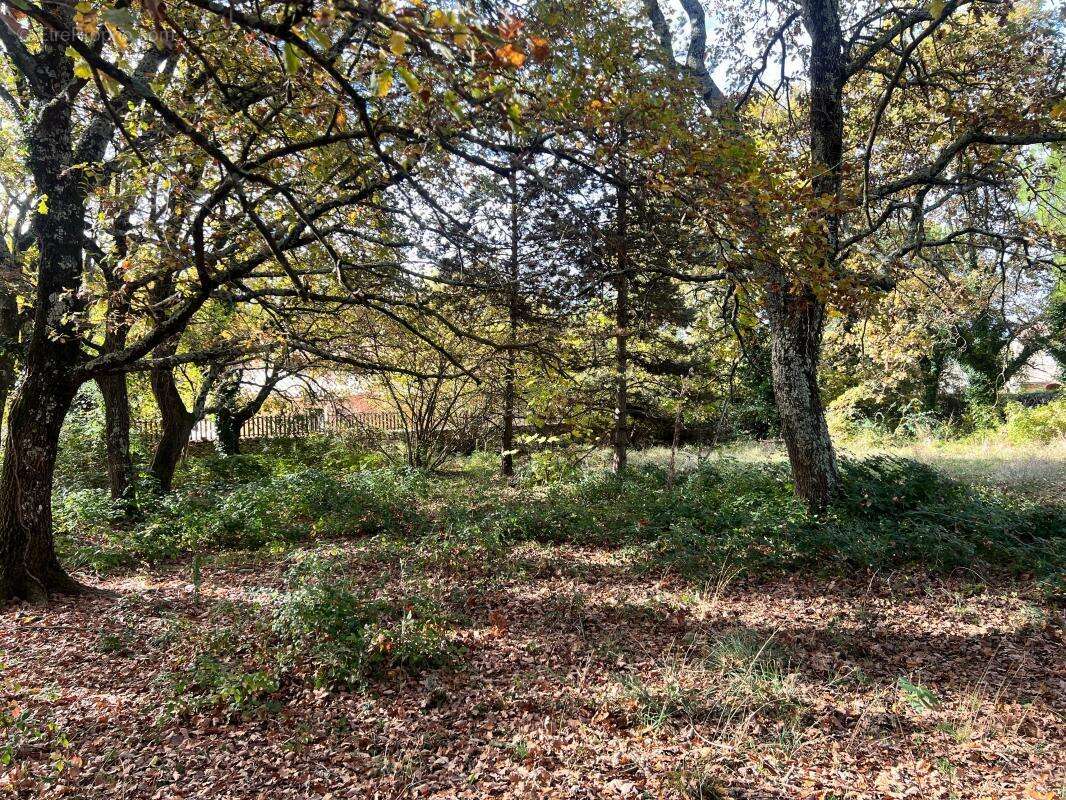 Terrain à BARJAC