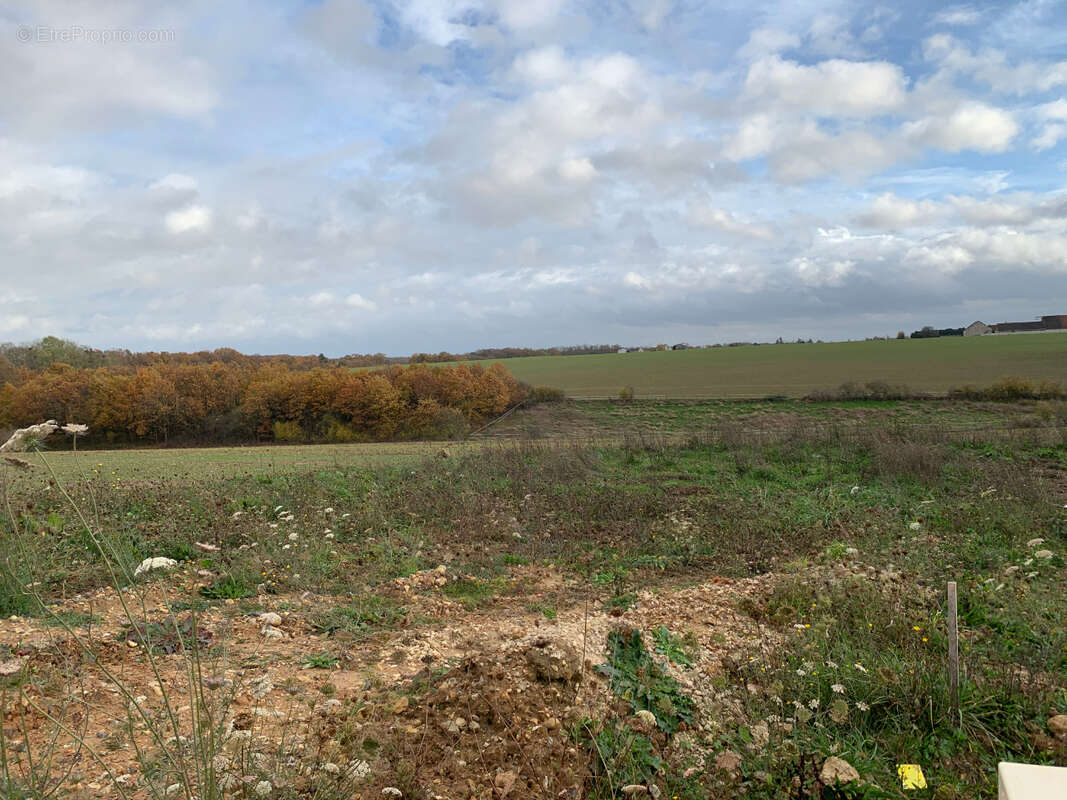 Terrain 369m² à nemours - photo 3