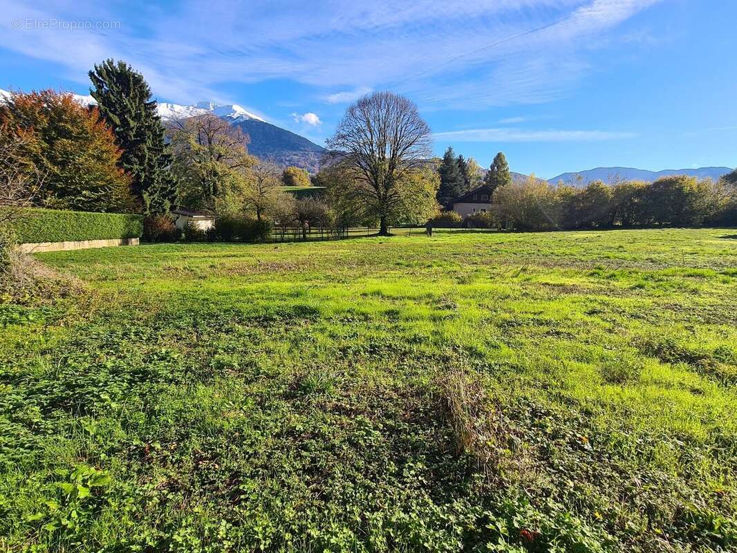 Terrain à MONTAILLEUR