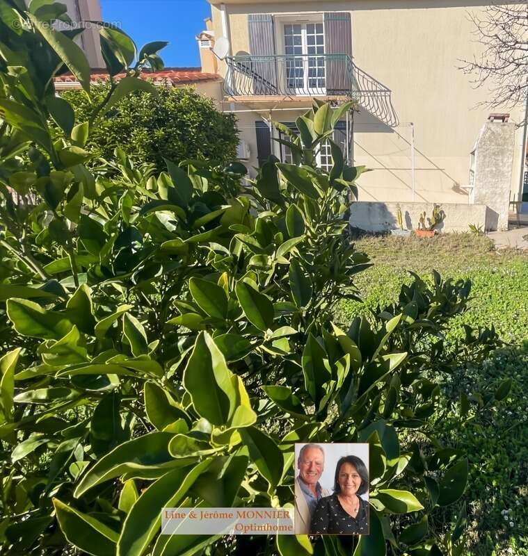 Maison à ARGELES-SUR-MER