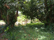 Terrain à CAPESTERRE-BELLE-EAU