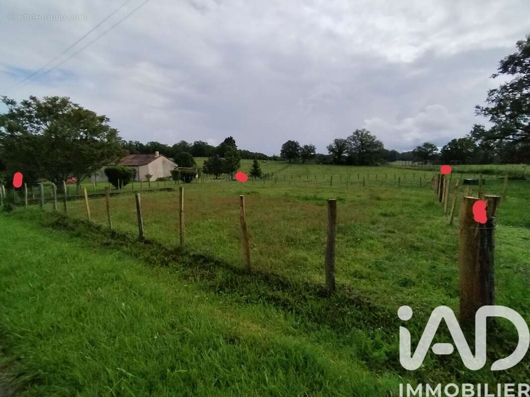 Photo 3 - Terrain à SEREILHAC