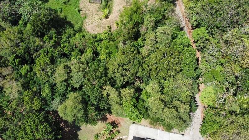 Terrain à SAINTE-LUCE