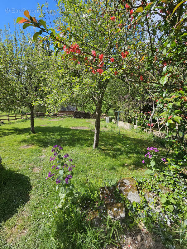 Maison à SAINT-ETIENNE-DE-FURSAC