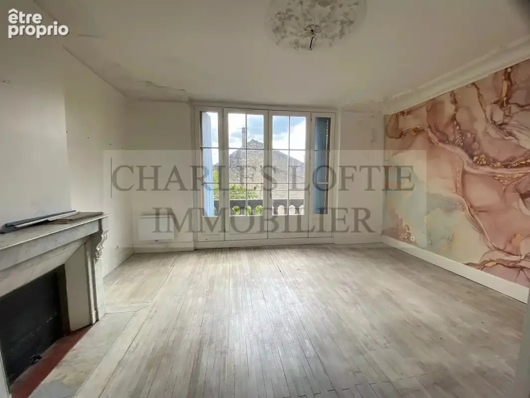 Ancienne maison bourgeoise en pierre de caractere entierement restauree en 3 appartements independants - photo 6