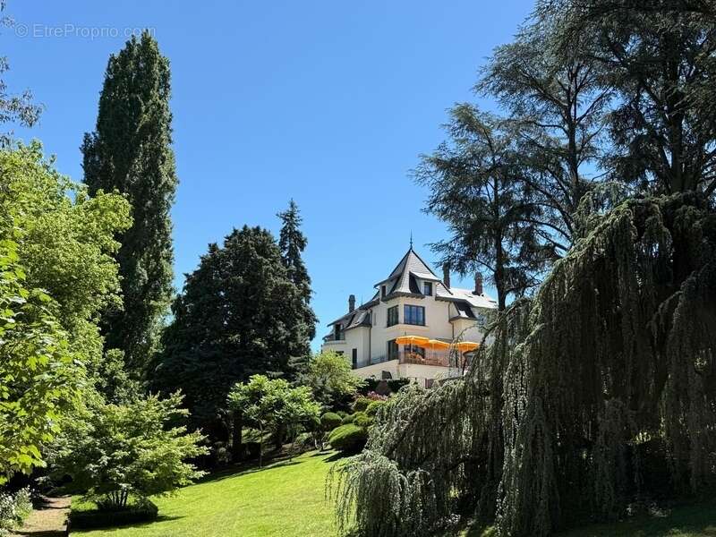Maison bourgeoise 255 m² entièrement rénovée, parc clos et arboré de 4 303 m² (piscinable), 3 garages, terrasse, jacuzzi - photo 5