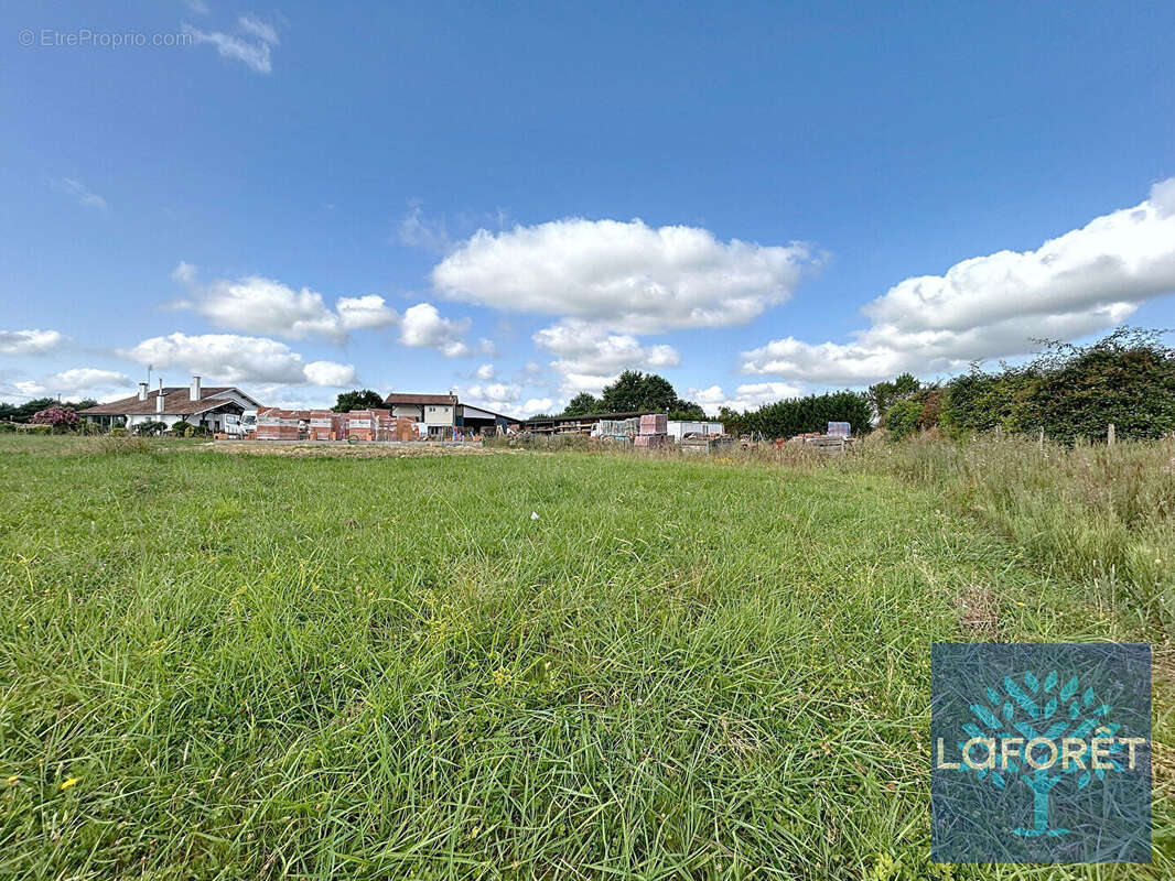 Terrain à SAINT-GEOURS-DE-MAREMNE