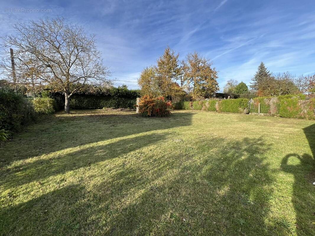 Terrain à SAINT-CHERON