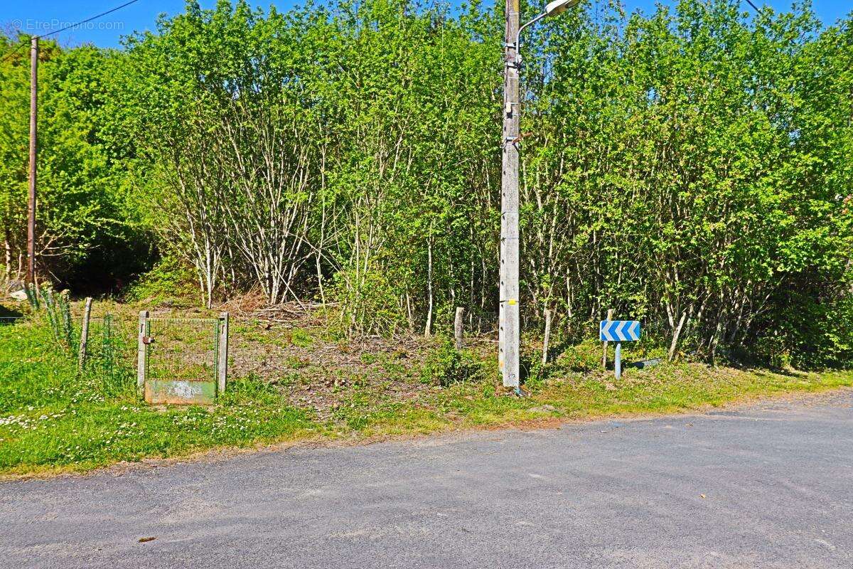 Terrain à BOULLERET