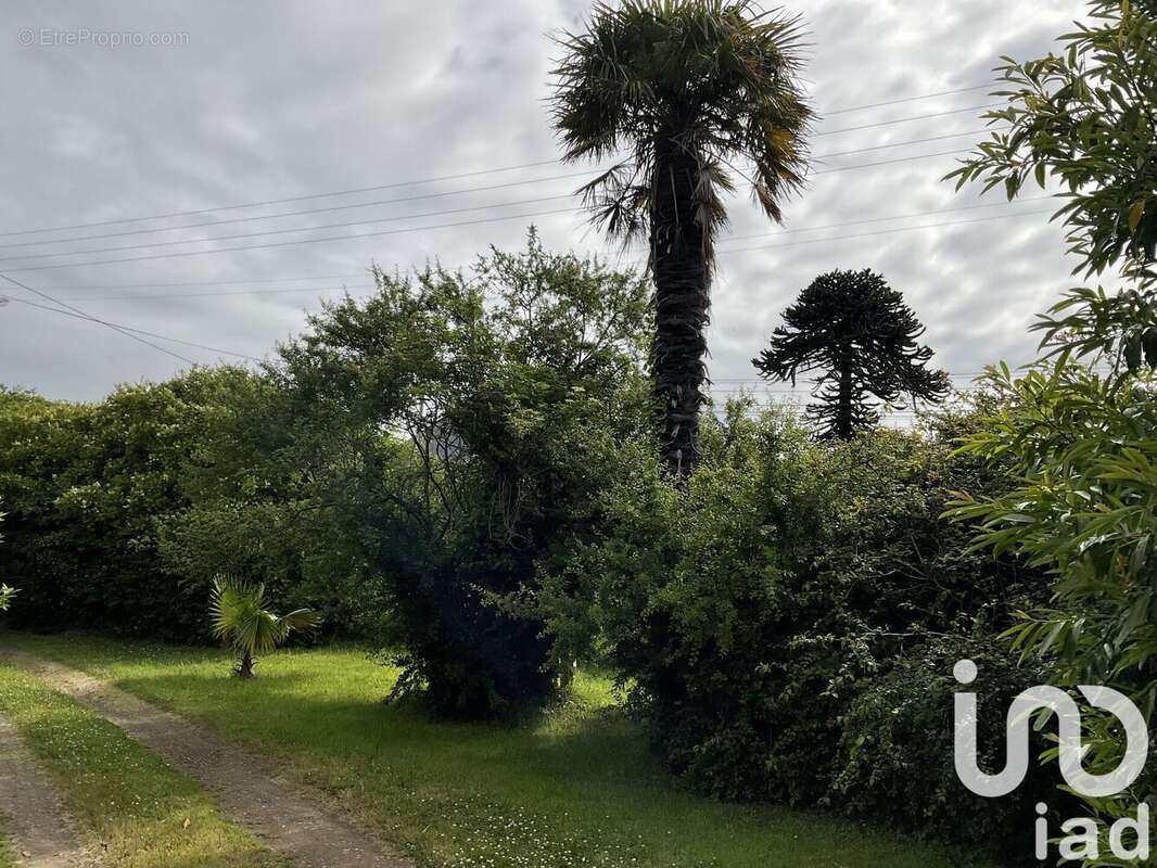 Photo 4 - Terrain à PERROS-GUIREC