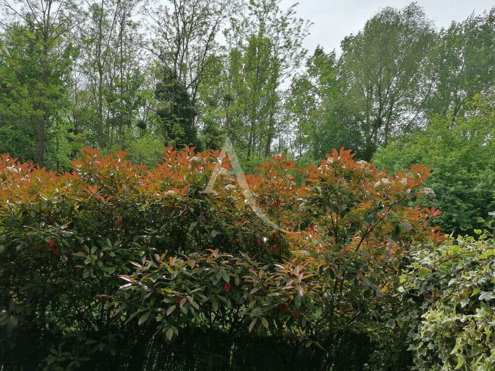 Appartement à MEAUX