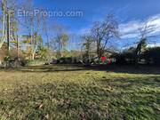 Terrain à RABASTENS